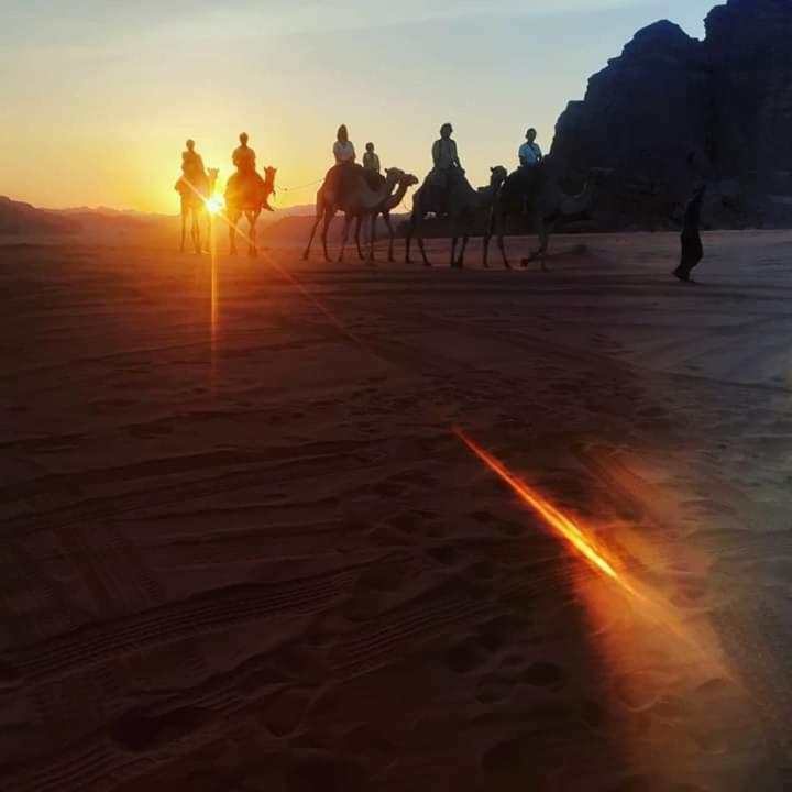 Bedouin Campsite & Tours Hotel Wadi Rum Exterior foto